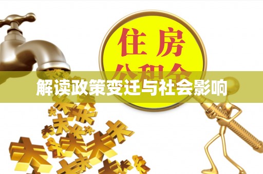政和解读政策变迁与社会影响