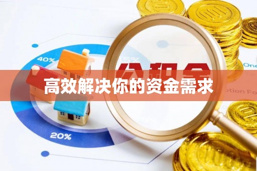 政和高效解决你的资金需求