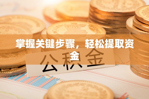 政和掌握关键步骤，轻松提取资金