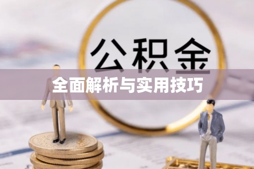 政和全面解析与实用技巧