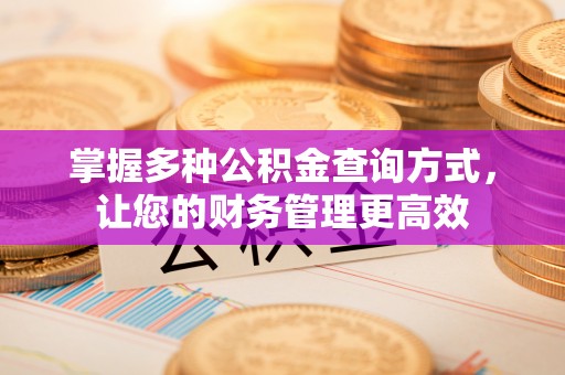 政和掌握多种公积金查询方式，让您的财务管理更高效