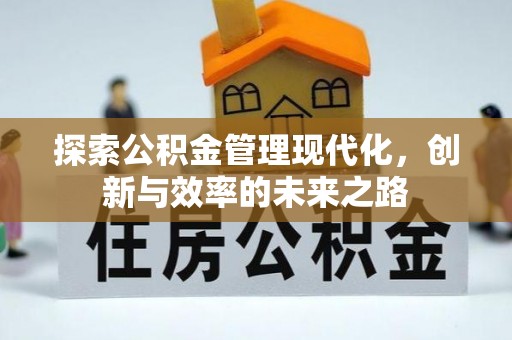 政和探索公积金管理现代化，创新与效率的未来之路