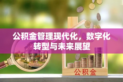 政和公积金管理现代化，数字化转型与未来展望