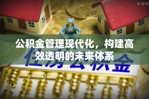 政和公积金管理现代化，构建高效透明的未来体系
