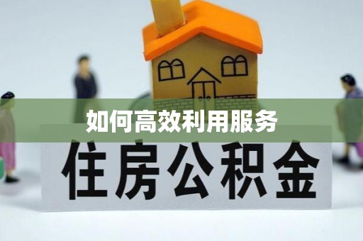 政和如何高效利用服务