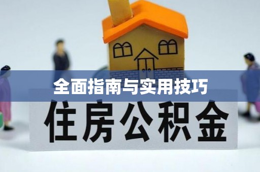 政和全面指南与实用技巧