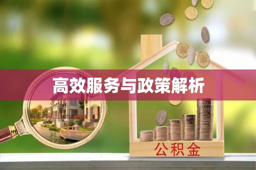 政和高效服务与政策解析