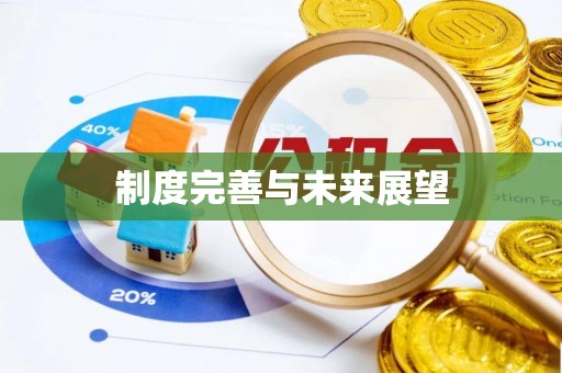 政和制度完善与未来展望
