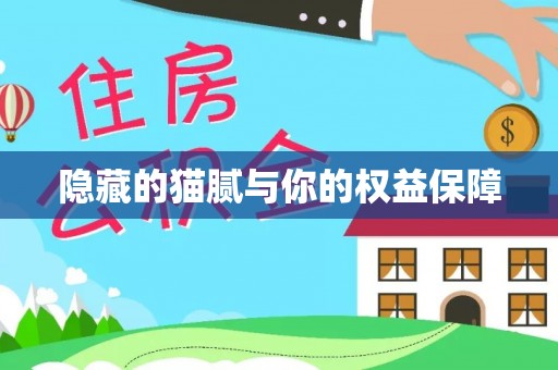 政和隐藏的猫腻与你的权益保障