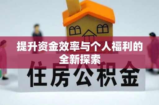 政和提升资金效率与个人福利的全新探索