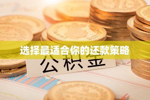 政和选择最适合你的还款策略
