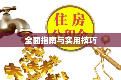 政和全面指南与实用技巧