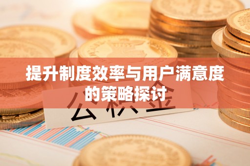 政和提升制度效率与用户满意度的策略探讨
