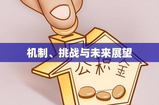 政和机制、挑战与未来展望